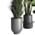Urban Jungle: Palm, Ficus, & Monstera in Concrete Vase 3D model small image 2