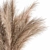 Natural Pampas Grass Bundle Set 3D model small image 2