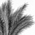 Natural Pampas Grass Bundle Set 3D model small image 6