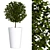 Boxwood in a Pot: 2017 Version 3D model small image 1