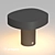 Title: LGD-SWAMP-BOLL-H100-7W Luminaire 3D model small image 2