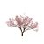 Spring Cerasus Tree: Pink Blossom Beauty 3D model small image 5