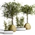 Indoor Plant Collection - Set of 50 3D model small image 1