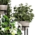 Rustic Concrete Pot Shelf Set with Indoor Plants 3D model small image 4