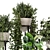 Rustic Concrete Pot Shelf Set with Indoor Plants 3D model small image 5