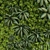 GreenWall 262: Vertical Plant Set 3D model small image 6