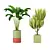 Stylish Indoor Greenery Collection 3D model small image 1