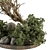 Nature's Oasis: Outdoor Plant Set 3D model small image 3