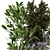 Indoor Greenery Set 234 3D model small image 4