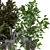 Indoor Greenery Set 234 3D model small image 5