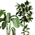 51 Indoor Plant Collection 3D model small image 2