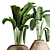 51 Indoor Plant Collection 3D model small image 3