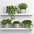 Botanical Bliss: Hanging Garden Shelf 3D model small image 1