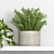 Botanical Bliss: Hanging Garden Shelf 3D model small image 2