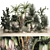 Tropical Desert Plants Collection 3D model small image 1