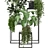 Sleek Indoor Plant Set 3D model small image 2