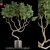 Botanical Bliss: 639 Green Wonders 3D model small image 1