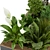Leafy Delight: Collection Plant Vol. 313 Outdoors 3D model small image 3