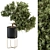 Indoor Tree Set in Black Pot 3D model small image 1