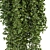  Hanging Garden Delights - Set 372 3D model small image 3