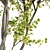 Japanese Cherry & Acer Leaf Trees-3D Models 3D model small image 3