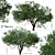 Black Olive Tree Set: Enchant Your Space 3D model small image 1