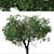 Black Olive Tree Set: Enchant Your Space 3D model small image 3