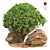 Elevate your Outdoor Space with Outdoor_Plant_Vol_44! 3D model small image 1