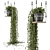 Boho Vibes: Indoor Hanging Plants 3D model small image 1