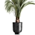 Areca Palm: Decorative Indoor Exotic 3D model small image 2