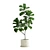 Tropical Indoor Plant Pack: 11 Exotic Varieties 3D model small image 6