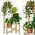 Premium Indoor Plant Collection 5 3D model small image 1