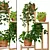 Premium Indoor Plant Collection 5 3D model small image 2