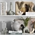 Versatile Decorative Set 3D model small image 4