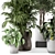 Rustic Concrete Pot Indoor Plants - Set 506 3D model small image 5