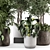 Rustic Concrete Pot Indoor Plants - Set 506 3D model small image 6