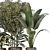 Green Oasis: 5 Indoor Plants Set 3D model small image 2