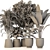 Green Oasis: 5 Indoor Plants Set 3D model small image 4