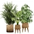 Lush Greens: Indoor Plant Set 3D model small image 1