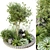 Nature-Inspired Outdoor Plant Set 3D model small image 4