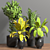 Tropical Oasis Indoor Plant Set 3D model small image 2