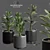 Premium Indoor Succulent Cactus | Stunning Décor 3D model small image 1