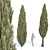 Evergreen Juniper Collection: Vol 78 3D model small image 2
