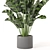 Playfully Green: Indoor Plants Collection 3D model small image 2