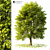 2014 Landscape Tree - 18м Height 3D model small image 1