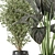 Lush Indoor Plant Set 3D model small image 3