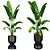 Premium Plant Collection 3D model small image 1