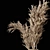 Pampas Bliss: Dried Bouquet & Rattan Vases 3D model small image 5