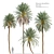 Lush Date Palm Trees: Vray & Corona 3D model small image 1