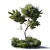 81-Pot Garden Collection: Indoor & Outdoor Plants 3D model small image 2